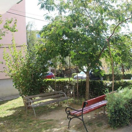 Apartament Anca Apartment Tîrgu Ocna Екстериор снимка